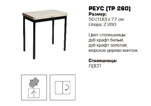 Реус (ТР260) стол 50(100)*77+каркас Z260 черный