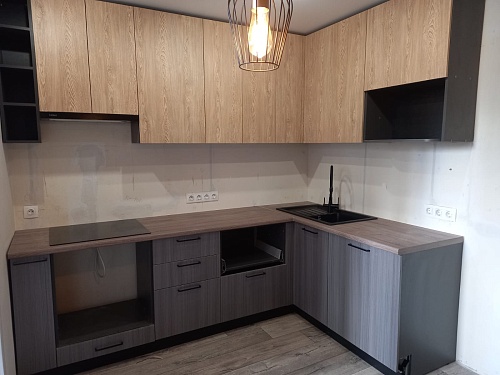 Сандал серый и Карпатская ель 